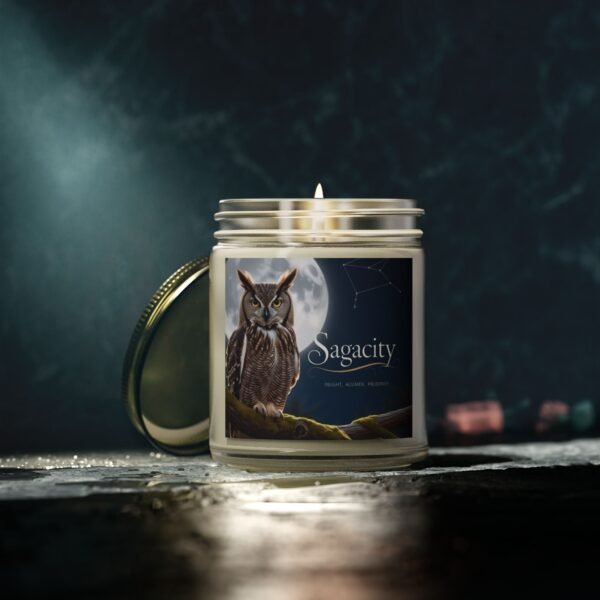 Sagacity Scented Candle - Coconut Apricot Wax (4oz, 9oz) - Owl & Moon Design for Relaxation - Image 54