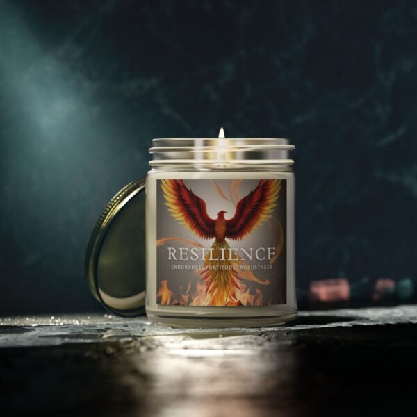 Resilience Scented Candles - Coconut Apricot Wax (4oz, 9oz) - Image 48